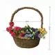 Straw Plant Pot Manufacturer by BasketGem-1 8