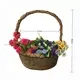 Straw Plant Pot Manufacturer by BasketGem-1 7