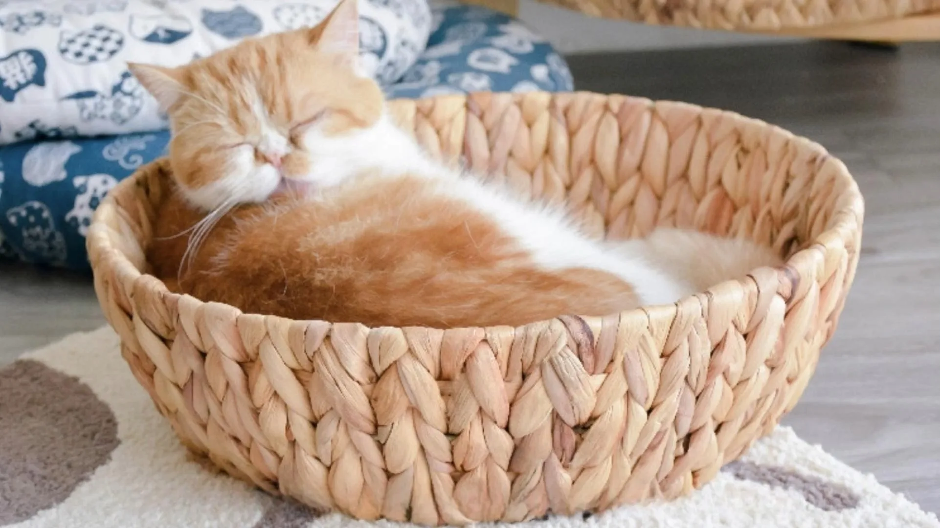 Katzenbett aus Schilfgras, mit weichem Kissen, für alle Jahreszeiten geeignet, schlichtes, strohgeflochtenes Katzenbett 1