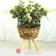 Straw Basket Plant Pot by BasketGem 1