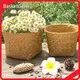 Straw Plant Pot Straw Weaving Wholesale - BasketGem-1 1