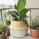 Straw Plant Pot Straw Weaving Wholesale - BasketGem-2 1